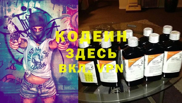 индика Мегион