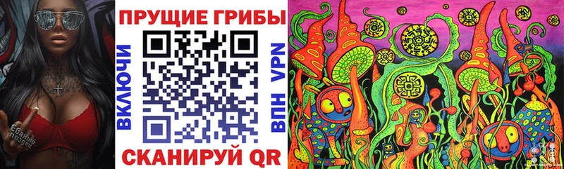 kraken зеркало  Краснозаводск  Галлюциногенные грибы прущие грибы 